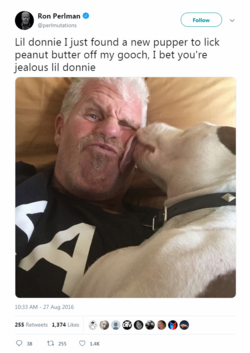 1000007713.png