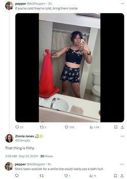 wtf.jpg