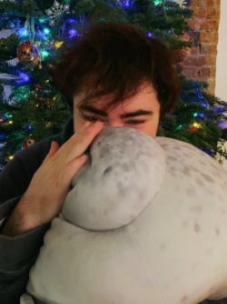 1727444342079.png