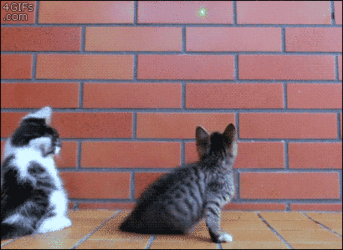 1421762398979.gif