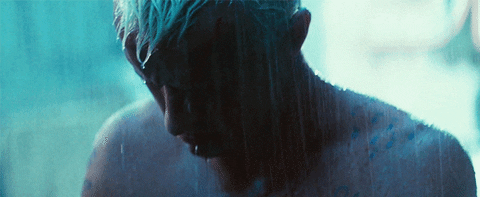 blade-runner-roy-batty-raining-r2jfln4lk5y5dft7.gif
