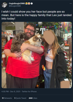 11 Bought a puppy.png
