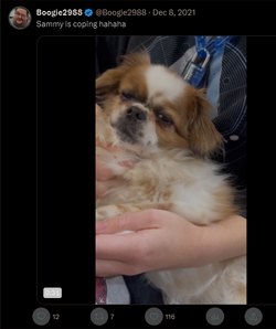 d Zoomer with Sammy (download vid later).png