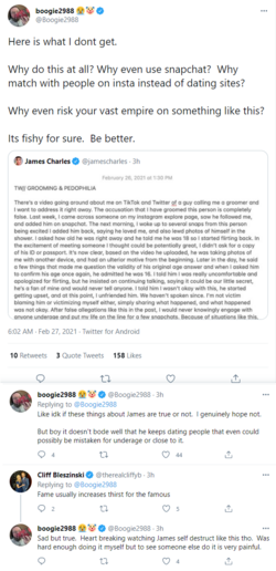 Dating fans & underage - Tells James Charles to be better.png