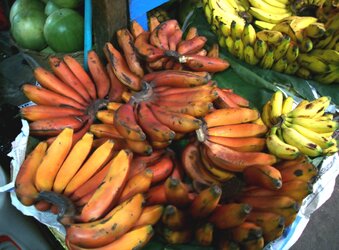 Redbanana1.jpg
