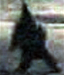 gnomesighting.png