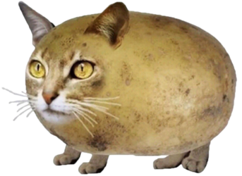 1727385443040 (1).png