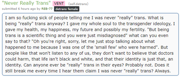 neverreally1.png