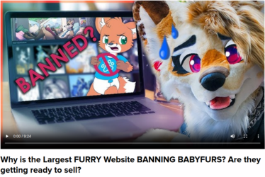 ash-coyote-video.png