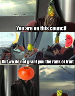 3c7a068e101d35a8.png