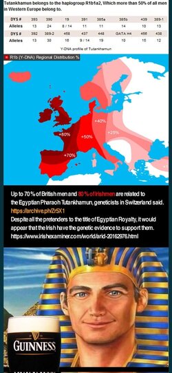 irish egypt.jpg