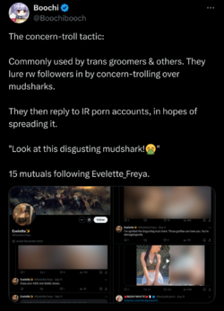 Screenshot_20240929-095125.png
