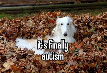 1727643877219.png