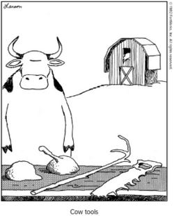 Cow Tools.png