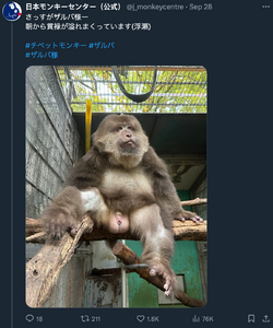 brave_screenshot_x.com (19).png