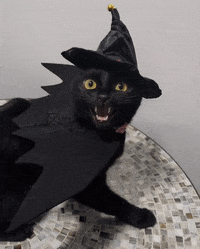 IMG_5025.gif
