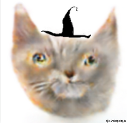 halloweenedcat.png
