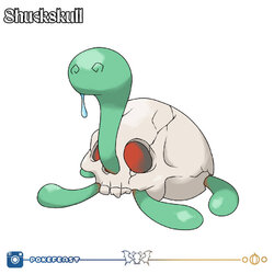 shuckskull___regional_shuckle_by_pokefeast_desfetk-pre.jpg