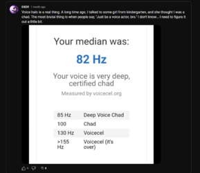 dbdr voice.PNG