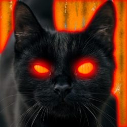 kat-mt.png