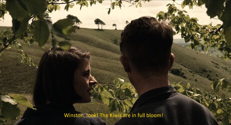 the place.jpg