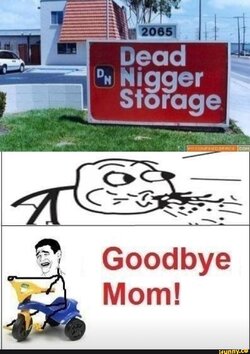 IMG_1565.jpeg