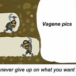 pajeet-vagene-pics.jpg