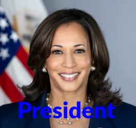V20210305LJ-0043-cropped.png