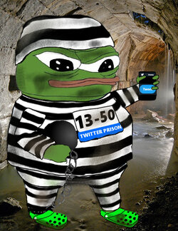 1681324875525728.jpg