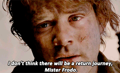 tumblr_ndylq7EI6b1ru8yv8o7_250.gif