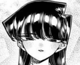 modkomi3.png