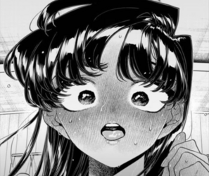 modkomi2.png