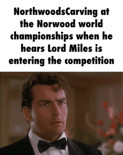 Norwood balding.gif