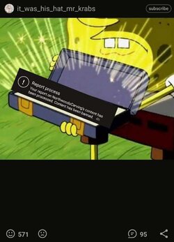 Reporting-the-norwood.jpg