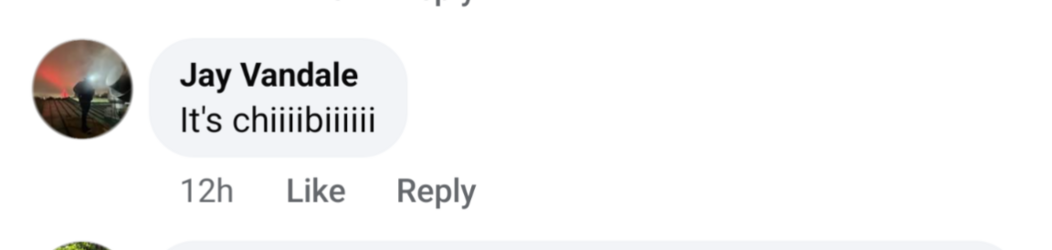 Screenshot_20241003-135002.png