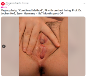 Screenshot 2024-10-03 140949.png
