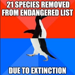 Species.jpg