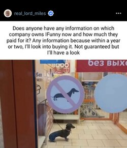 IMG_1612.jpeg