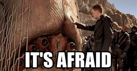 Afraid.jpg