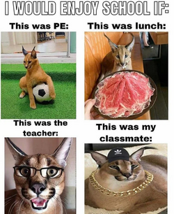 1728051294854.png