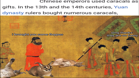 unknown.png