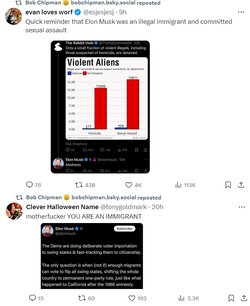 musk.jpg