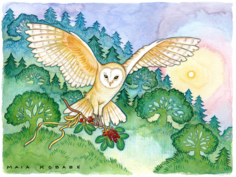 maiaowl.png