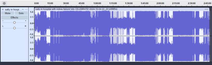 Audacity_20241001_AXdJApctNe.png