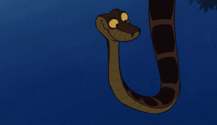 IMG_3974.gif