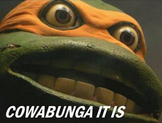 Cowabunga-it-is-meme-7.jpg