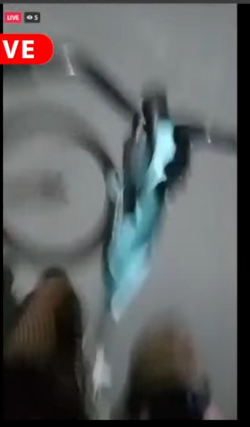anad a fishnet.PNG