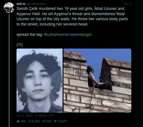 1728207128549.png