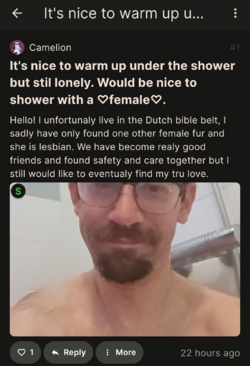 1728252425378.png