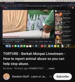 Screenshot_20241006_185501_Chrome.jpg